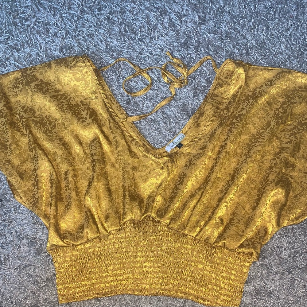 Cropped silk vneck shirt!